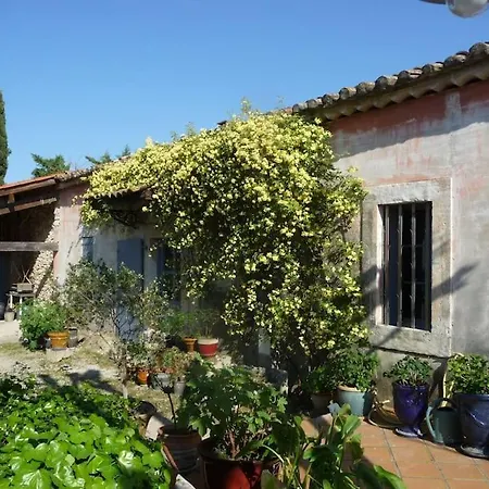 Mas En Pierres Castelnau-le-Lez